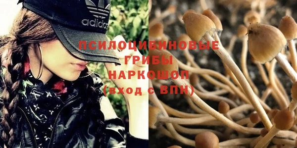 таблы Красноперекопск