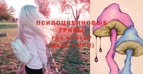 гашишное масло Краснослободск